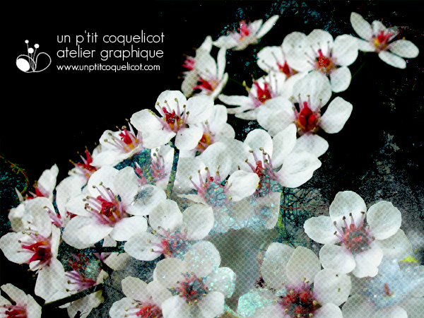 une ann�e fleurissante !