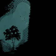 les s�ries limit�es